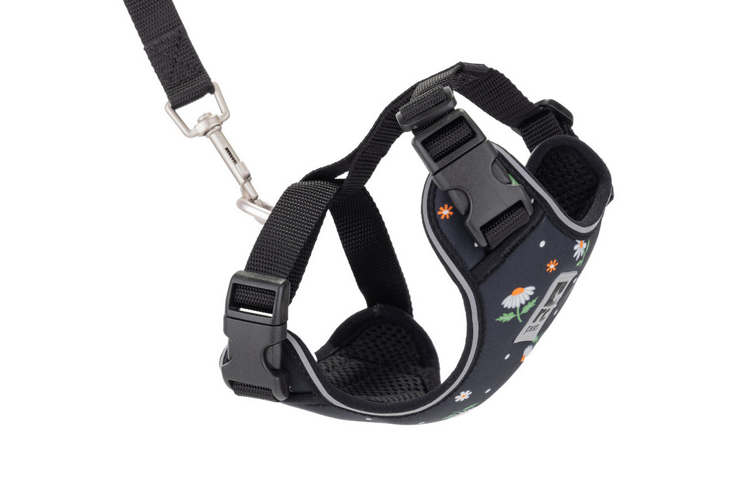 Adventure Kitty Harness | RC Pets
