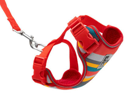 Adventure Kitty Harness | RC Pets
