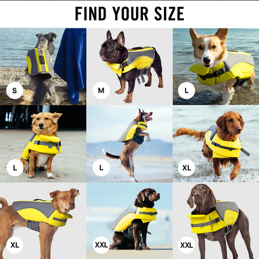 Wave Rider Life Jacket (Pink) | Canada Pooch