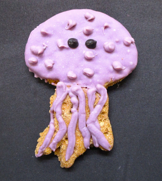 Jellyfish Cookie | The Barkery