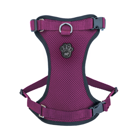 Everything Harness | Canada Pooch