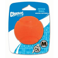 Fetch Ball (Medium) | Chuckit!