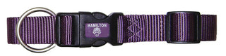 Collars | Hamilton
