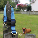 Breakaway Dog Collar | Pet Safe