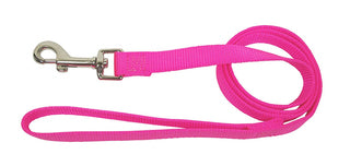 Nylon Leash (5/8", 6ft) | Hamilton