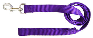 Nylon Leash (5/8", 6ft) | Hamilton