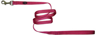Nylon Leash (5/8", 6ft) | Hamilton
