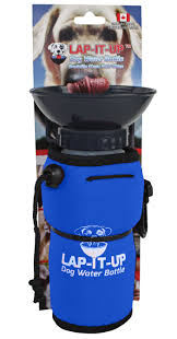 Water Bottle | Lap It Up