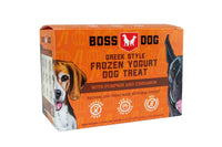 Frozen Yogurt (Pumpkin & Cinnamon) | Boss Dog