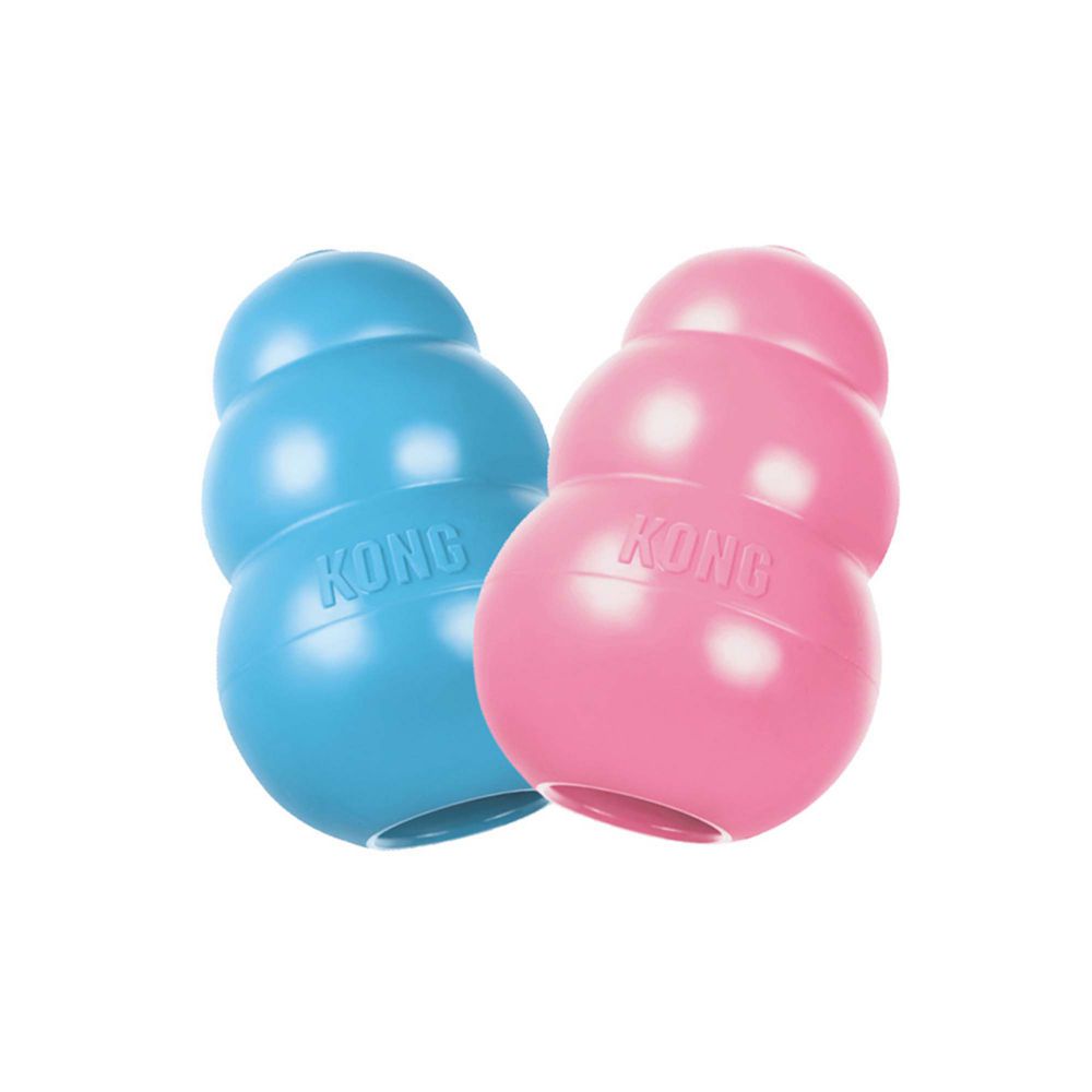Kong Puppy | KONG