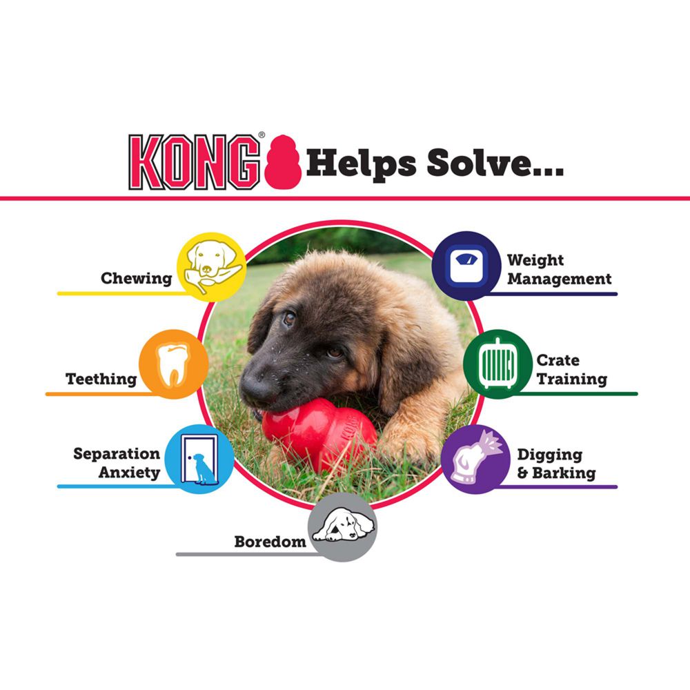 Kong Puppy | KONG