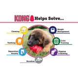 Kong Puppy | KONG