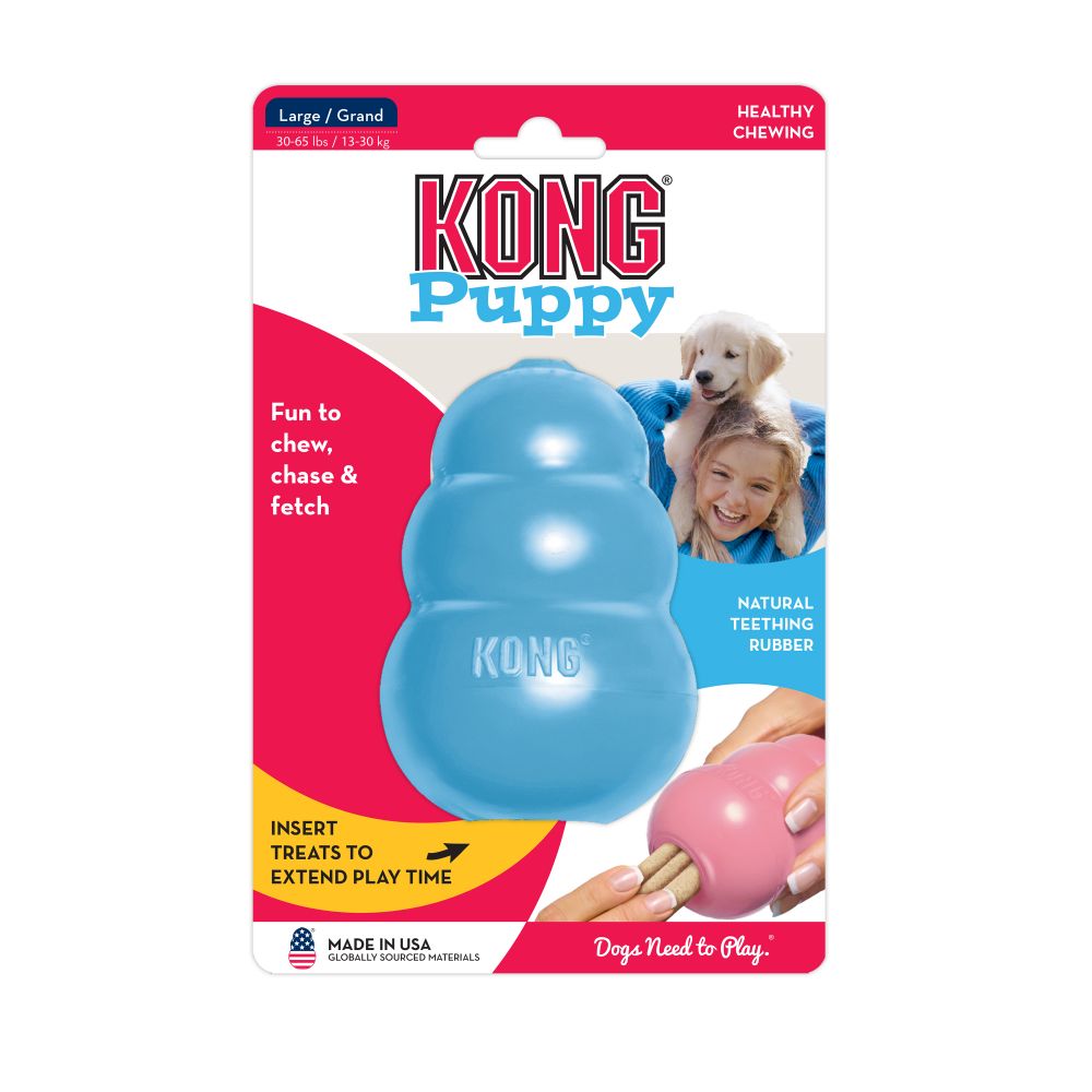 Kong Puppy | KONG