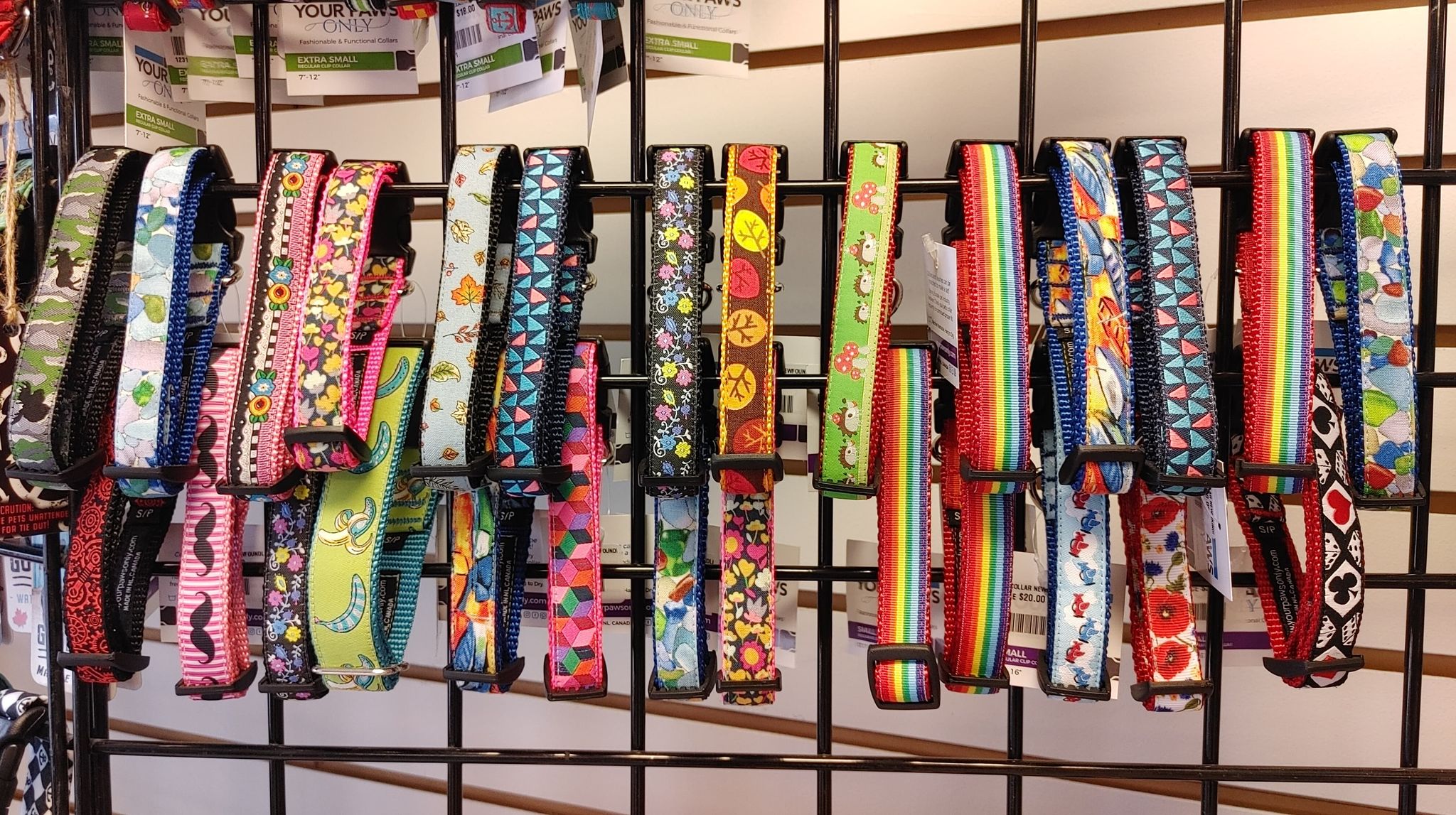 Newfoundland Made Dog Collars | Your Paws Only