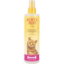 Waterless Shampoo (Cats) | Burt's Bees