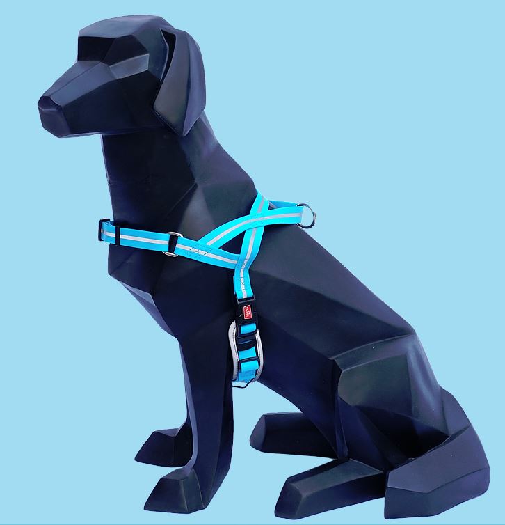 Waterproof Harness | Wigizi