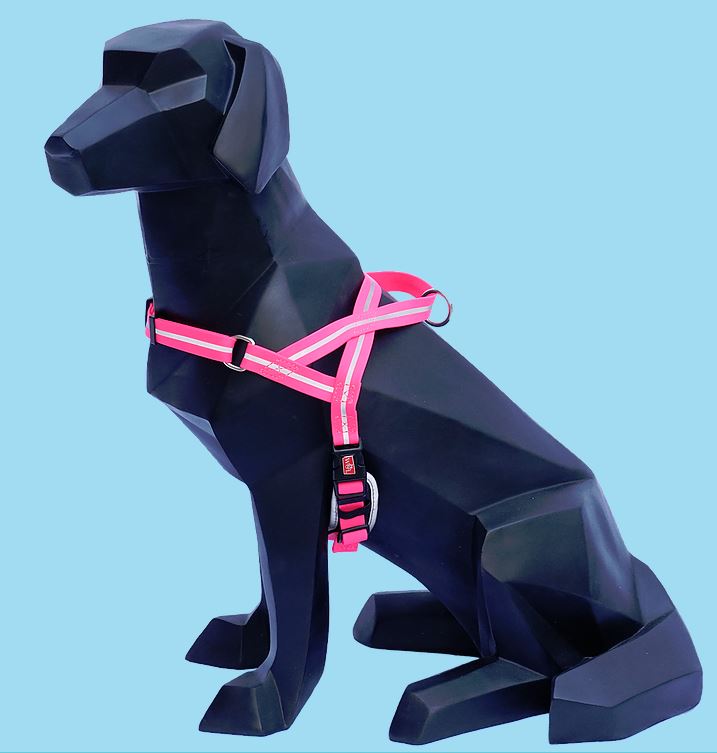 Waterproof Harness | Wigizi