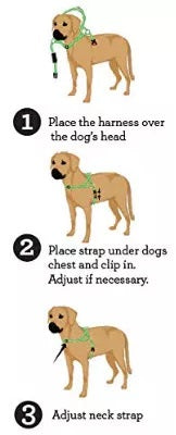 Waterproof Harness | Wigizi