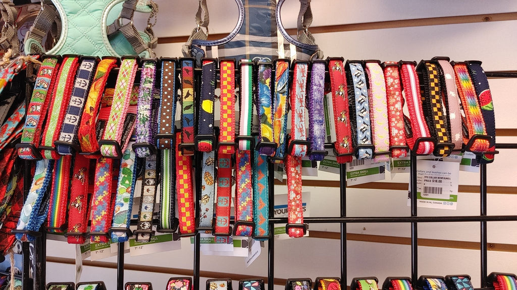 Newfoundland Made Dog Collars | Your Paws Only