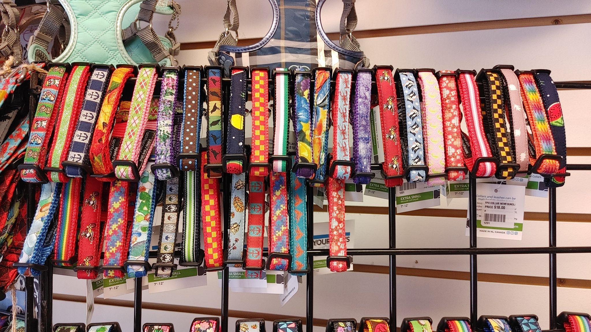Newfoundland Made Dog Collars | Your Paws Only
